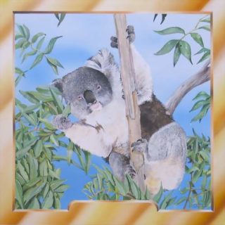 Koalabär für eine Karte